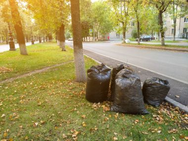 Şehir Parkı temizlik sonbahar yaprakları
