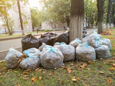 Şehir Parkı temizlik sonbahar yaprakları