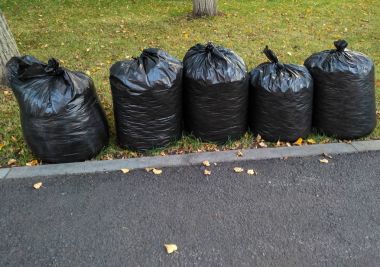Şehir Parkı temizlik sonbahar yaprakları