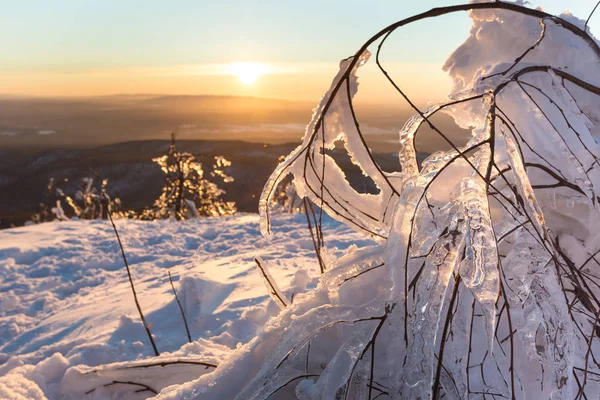 Kış manzarası. güzel bir gün batımı karşı dağlarda kar