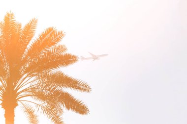 Dubai, Birleşik Arap Emirlikleri 14 Şubat 2018: Airbus a330 uçak Emirlikleri çıkartıyor palmiye ağaçları ve günbatımı bir zemine karşı