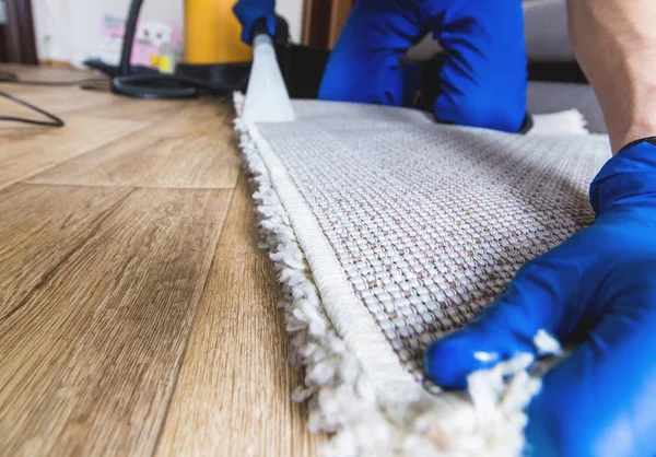 Städning. Man vaktmästare i handskar och enhetlig dammsugare ren vit matta med professionell utrustning — Stockfoto