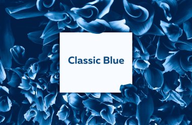 Baharda yeşil yaprakların arkaplanı. Genç filizler topraktan çıkar. Bahçe işleri ve büyümeyi hesaba katarsak, klasik mavi renk 2020.