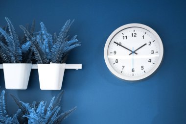 Duvardaki saksıdaki bitkilerin saat ve dekorasyonu, 2020 klasik mavi renk.