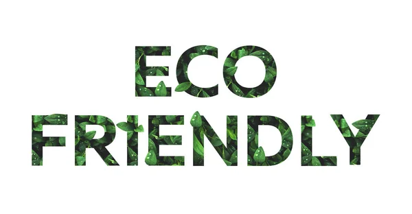 Eco font from grass leaves on a white background isolated. Eco frendly fonts — 스톡 사진