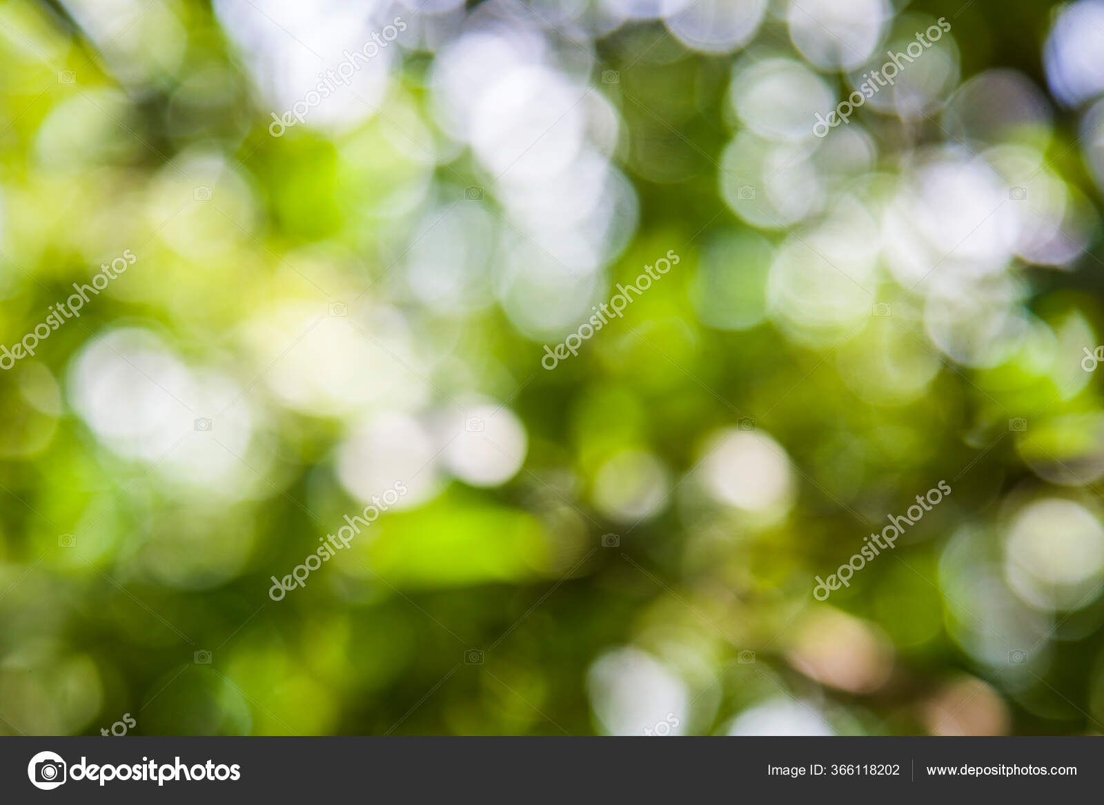 编辑模糊的摘要背景 绿叶夏春背景 聚焦bokeh背景 图库照片 C Endewer1 Mail Ru 编辑模糊的摘要背景 绿叶夏春背景 聚焦bokeh背景 图库照片 C Endewer1 Mail Ru