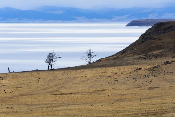  Lake Hubsugul bahar