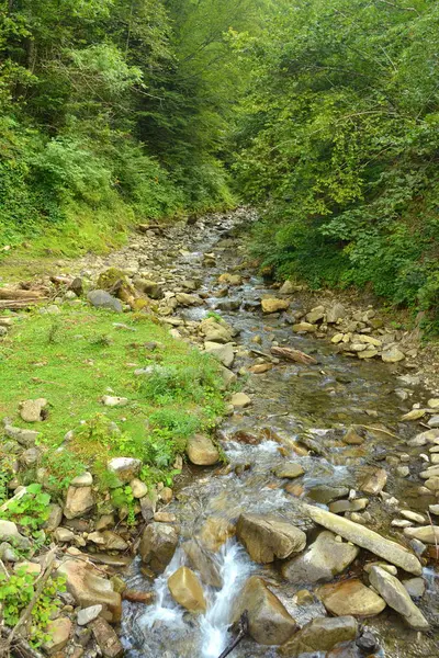 Gebirgsfluss in den Bergen — Stockfoto