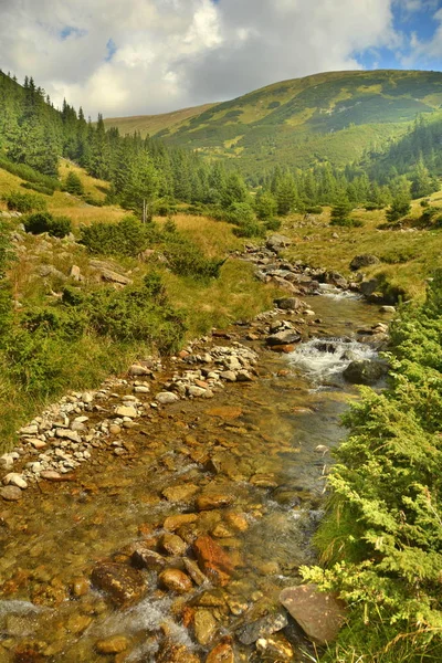 Belle vue sur les montagnes — Photo