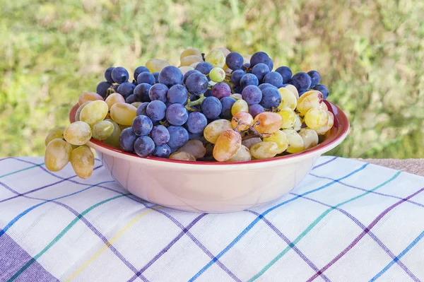 Trossen van rijpe druiven in een kom — Stockfoto