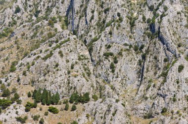 Dağın dik eğimi. Karadağ