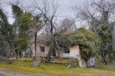 Eski park içinde terk edilmiş ev
