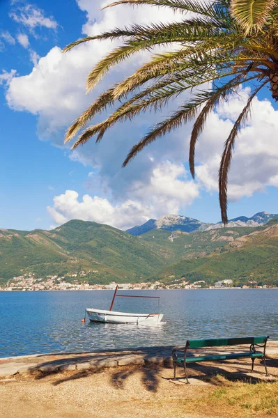 Sakin manzara. Kotor Körfezi, Karadağ