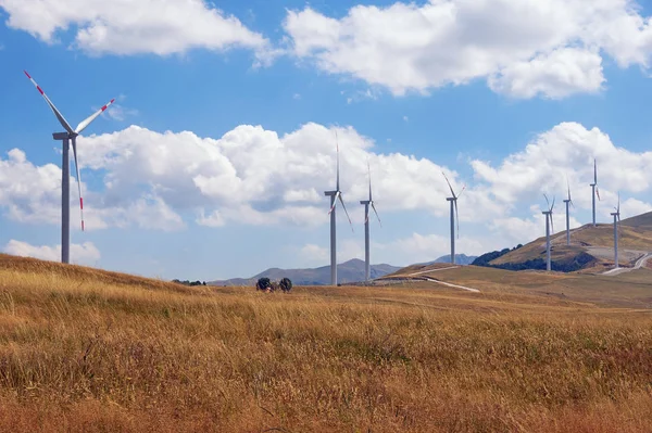 View of wind park Krnovo near Niksic town. Montenegro — Stock Photo, Image