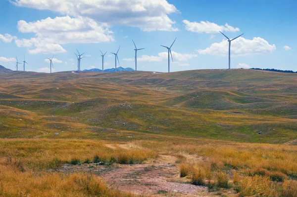 Summer view of golden-green meadow with a line of windmills. Montenegro, Krnovo wind park — Stock Photo, Image