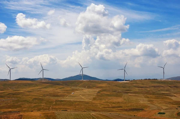 Golden field, blue sky with white clouds and line of windmills.  Montenegro, Krnovo wind park. — Stock Photo, Image