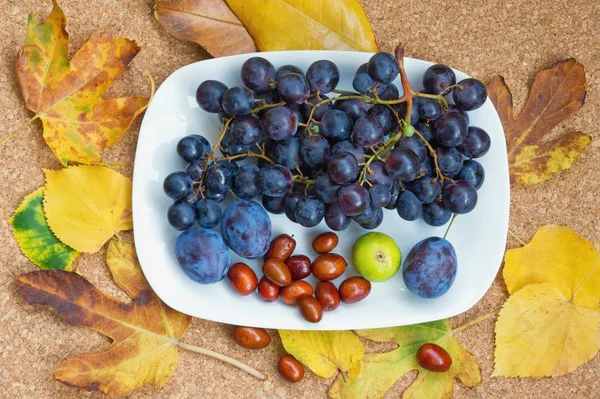 Kleuren van de herfst in de bladeren en vruchten. Druiven, vijgen, pruimen, jyjybe op een witte plaat — Stockfoto