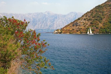 Sonbahar Akdeniz manzara. Kotor Körfezi (Adriyatik Denizi), Karadağ görünümünü