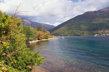 Karadağ sonbaharda. Kotor Körfezi picturesque bakış