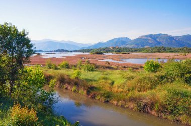 Tuz bataklığı. Özel doğa rezerv Solila görünümü. Tivat, Karadağ