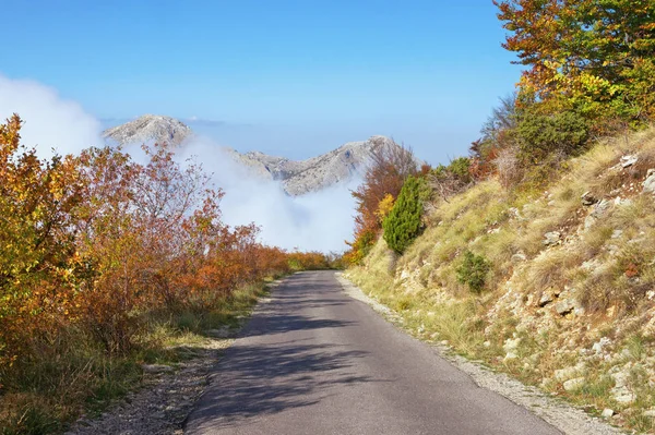 Estrada da montanha perto das nuvens. Parque Nacional Lovcen, Montenegro — Fotografia de Stock