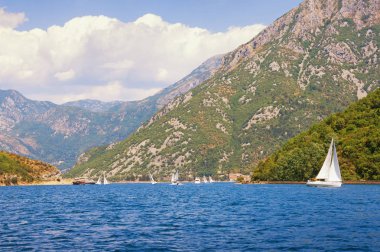 Karadağ'daki yaz. Kotor Körfezi manzarası ile yelkenli tekneler