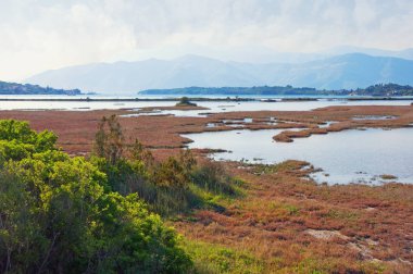 Sulak alan manzara, tuz bataklığı. Görünümü özel doğa rezerv Solila, Tivat, Karadağ, yaz