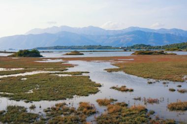 Sulak alan manzara, tuz bataklığı. Görünümü özel doğa rezerv Solila, Tivat, Karadağ, sonbahar