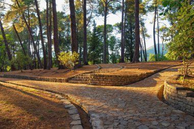 Pathways in park.  Montenegro, view of botanical garden in Tivat city clipart