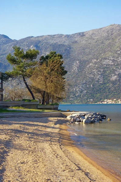 Μαυροβούνιο. Κόλπος ακτή του Κότορ (Αδριατική θάλασσα) σε ηλιόλουστη ημέρα — Φωτογραφία Αρχείου