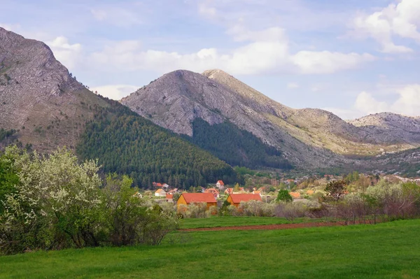Güzel dağ manzarası. Karadağ, Lovcen Milli Parkı, görünümü Njegusi Köyü — Stok fotoğraf