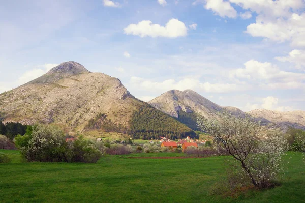 산에서 아름 다운 봄 날입니다. 몬테네그로, 보기의 Lovcen 국립 공원 — 스톡 사진