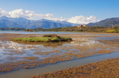 Sulak arazi. Karadağ, Tivat. Tivat Salina (Tivatska Solila) manzarası. Halofizik bitki örtüsü