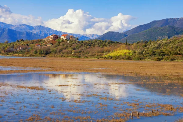 Nádherná mokřinatá krajina. Černá Hora, Tivat. Pohled na Tivat Salina (Tivatska Solila). Halofytická vegetace — Stock fotografie