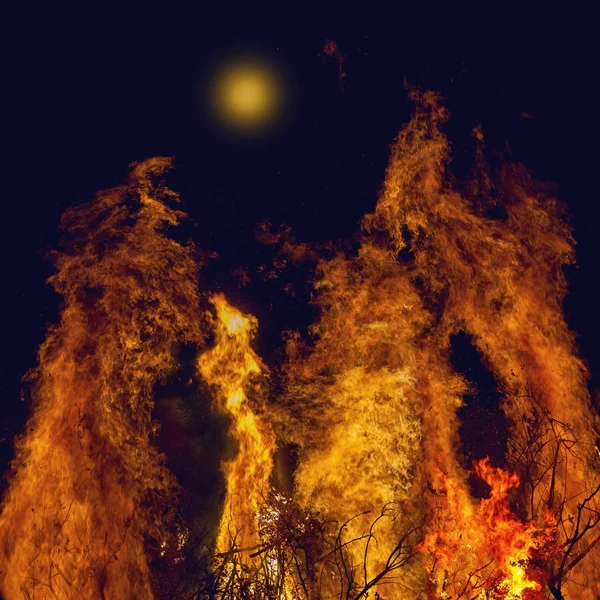 Big bright bonfire at night, flame, digital composite — Stock Photo, Image