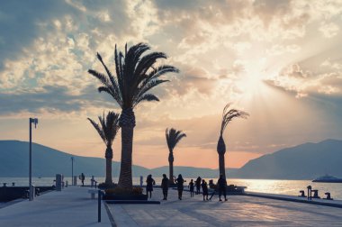 Gün batımı. Güzel Akdeniz manzarası, seti ve palmiye ağaçlarının siluetleri. Tatil konsepti. Karadağ, Tivat kenti