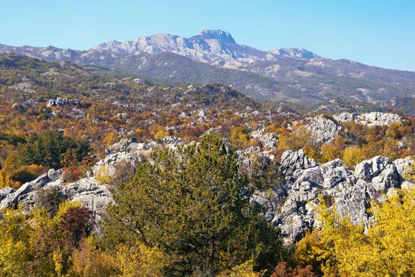 Autunno soleggiato in montagna. Montenegro, Alpi Dinariche. Veduta del Parco Nazionale di Lovcen e della montagna Lovcen — Foto Stock