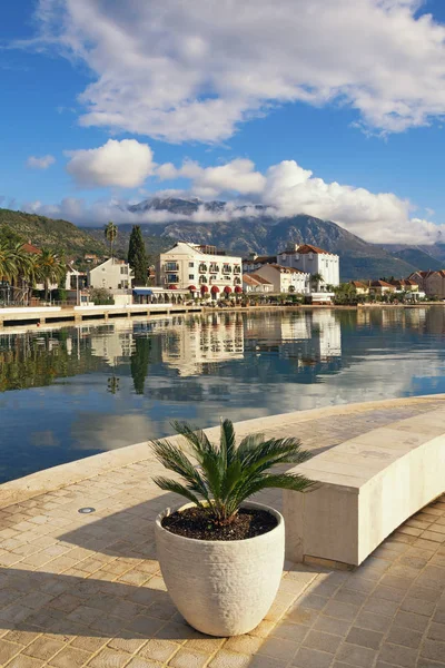 Montenegro. Embankment da cidade de Tivat no dia ensolarado do inverno. Baía de Kotor — Fotografia de Stock