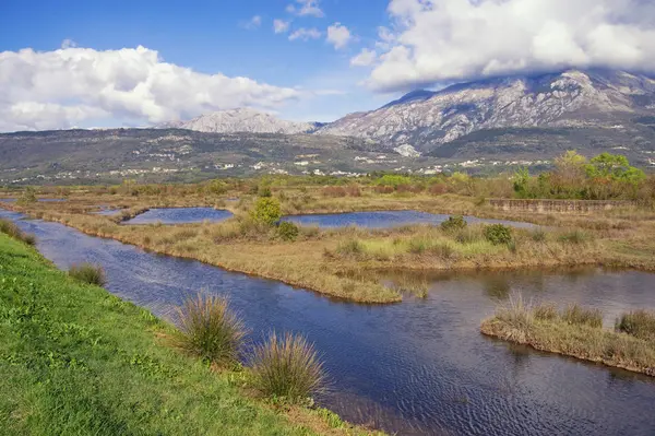 Beautiful wetland landscape. View of Tivat Salina  ( Tivatska Solila ) on sunny spring day.  Montenegro, Tivat — 스톡 사진