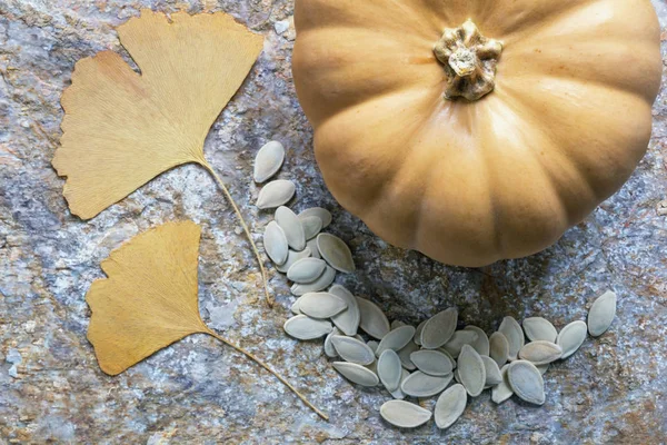 Autumn. Yellow leaves of ginkgo tree, pumpkin and pumpkin seeds — Stock Photo, Image