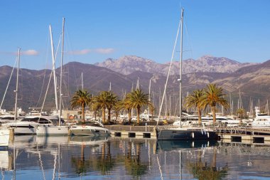Güneşli kış gününde Porto Montenegro yat marinası manzarası. Karadağ, Adriyatik Denizi, Kotor Körfezi, Tivat kenti