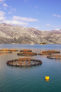 Balık çiftliği ve iki küçük adası olan güzel Akdeniz manzarası. Karadağ, Adriyatik Denizi, Kotor Körfezi