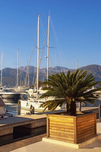 View Yacht Marina Porto Montenegro Sunny Winter Day Montenegro Adriatic — Stock Photo, Image
