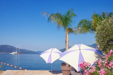 Yaz tatili. Güzel Akdeniz manzarası. Karadağ, Adriyatik Denizi, Kotor Körfezi, Tivat kenti