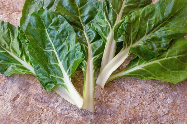 Balkan Cuisine Blitva Chard Leaves Popular Leafy Vegetables Free Space — Stock Photo, Image