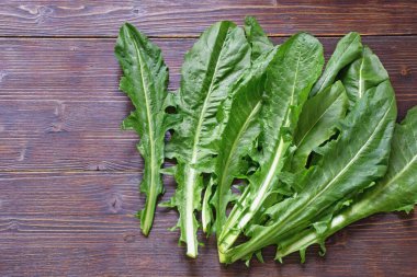 Balkan mutfağı. Zucenica yaprakları (vahşi hindiba) - Kotor Körfezi mutfağının en geleneksel malzemelerinden biri olan popüler yapraklı sebzeler. Boşluğu kopyala, koyu kırsal arkaplan