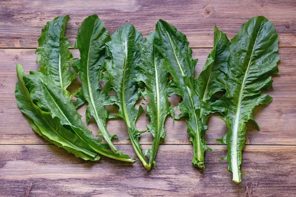Balkan Cuisine Zucenica Leaves Wild Chicory Popular Leafy Vegetables One — Stock Photo, Image