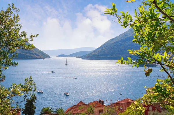 Herfst Mediterraan Landschap Montenegro Adriatische Zee Baai Van Kotor Uitzicht — Stockfoto