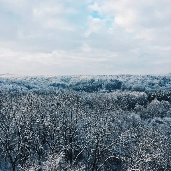 Reisen Winterlichen Holz — Stockfoto