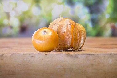 Cape bektaşi üzümü meyve grubu